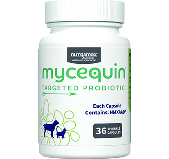 MYCEQUIN® TARGETED PROBIOTIC SUPPLEMENT 36 SPRINKLE CAPSULES/BOTTLE