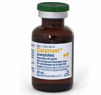 CARPROVET® (CARPROFEN) INJECTABLE 50 MG/ML 20 ML (RX)