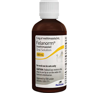 FELANORM® (METHIMAZOLE) ORAL SOLUTION 5 MG/ML 100 ML 1/PKG (RX)