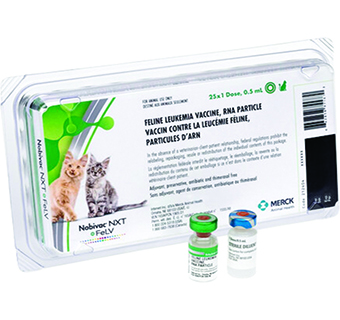 NOBIVAC® NXT FELV 25 X 1 DOSE (0.5 ML DOSE)