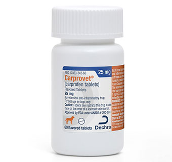 CARPROVET® (CARPROFEN TABLETS) FLAVORED TABLETS 25 MG 60/BOTTLE (RX)