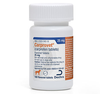 CARPROVET® (CARPROFEN TABLETS) FLAVORED TABLETS 25 MG 180/BOTTLE (RX)