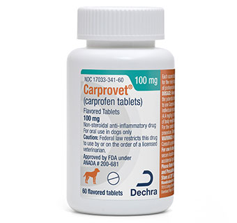 CARPROVET® (CARPROFEN TABLETS) FLAVORED TABLETS 100 MG 60/BOTTLE (RX)