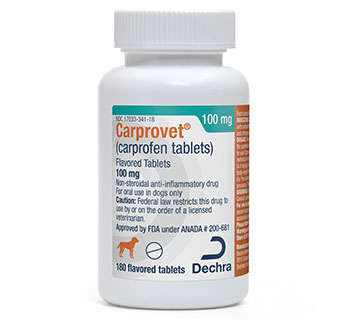 CARPROVET® (CARPROFEN TABLETS) FLAVORED TABLETS 100 MG 180/BOTTLE (RX)
