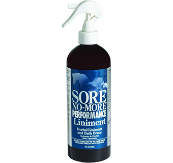 SORE NO-MORE® PERFORMANCE LINIMENT FOR HORSES & DOGS 16 OZ 1/PKG