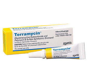 TERRAMYCIN® OPHTHALMIC OINTMENT 3.5 MG 1/PKG (RX)