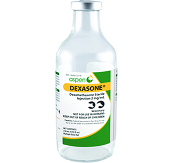 DEXASONE® INJECTION 2 MG/ML 250 ML (RX)