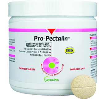 PRO-PECTALIN™ DIGESTIVE HEALTH & PROBIOTIC SUPPLEMENT CHEWABLE TABLETS 60/PKG