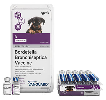 VANGUARD® B INTRANASAL (BORDETELLA BRONCHISEPTICA VACCINE) 25 X 0.5ML (1 DOSE)