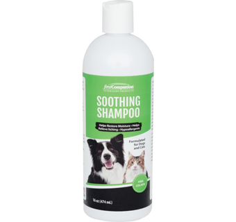 FIRST COMPANION SOOTHING SHAMPOO 16 OZ 1/PKG