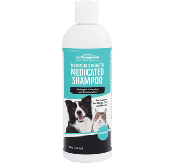 FIRST COMPANION MAXIMUM STRENGTH MEDICATED SHAMPOO 12 OZ 1/PKG