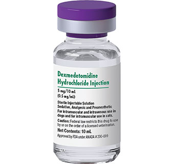 DEXMEDETOMIDINE HYDROCHLORIDE INJECTION 0.5 MG/ML 10 ML 1/PKG (RX)
