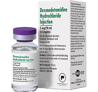 DEXMEDETOMIDINE HYDROCHLORIDE INJECTION 0.5 MG/ML 10 ML 1/PKG (RX)